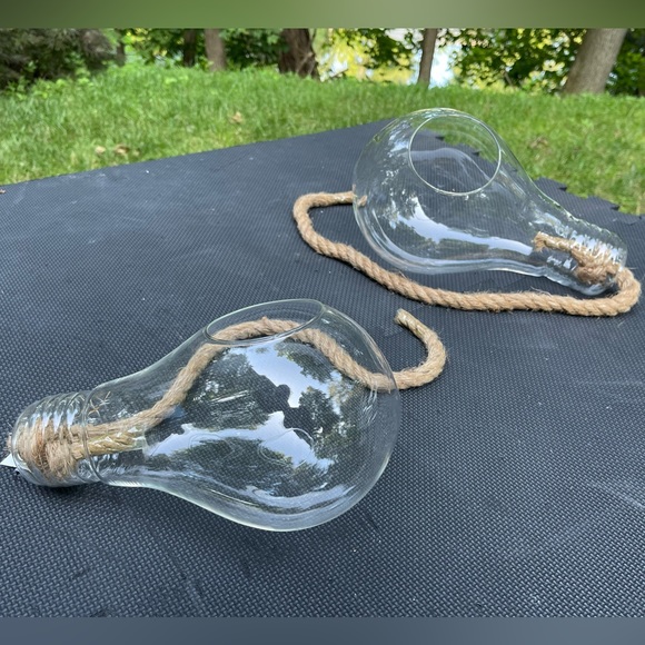 Brand New Hanging Glass Light Bulb Terrariums for Plants or Decor (Set of 2) - Picture 9 of 14
